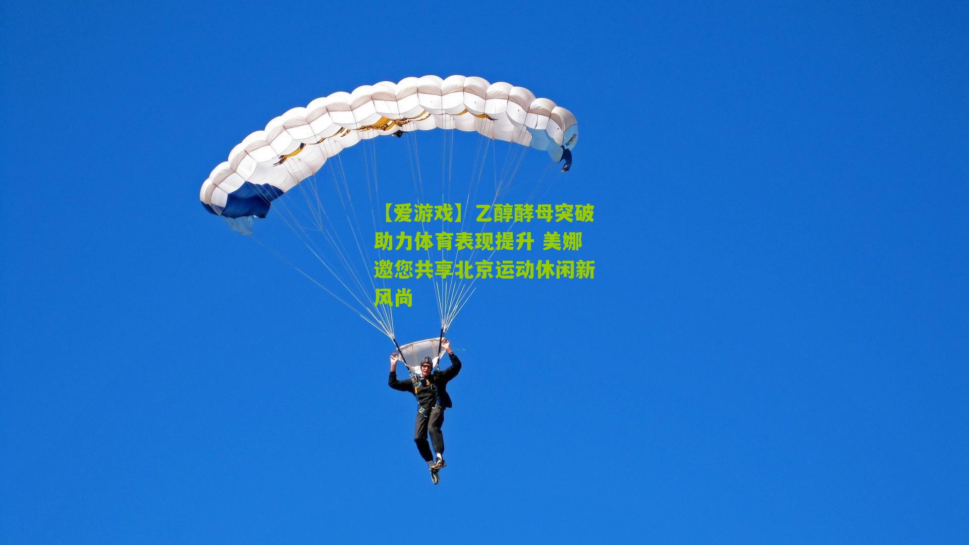 乙醇酵母突破助力体育表现提升 美娜邀您共享北京运动休闲新风尚